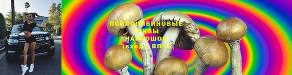 стаф Белокуриха