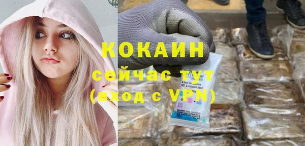 стаф Белокуриха
