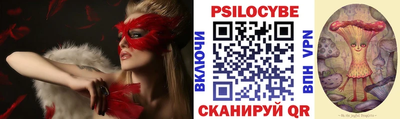 Галлюциногенные грибы мицелий  Купить закладки  Курильск 